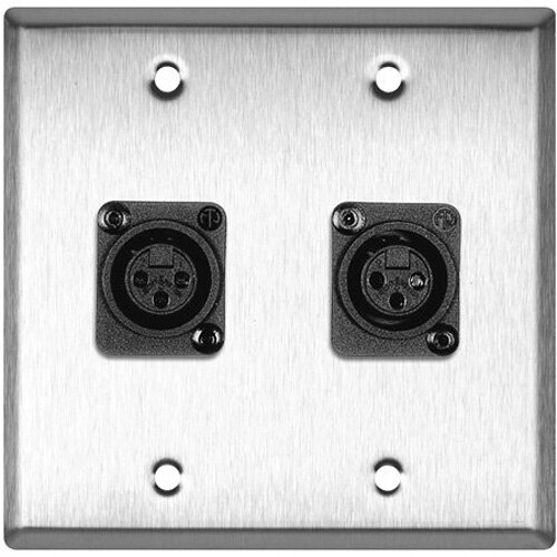 TecNec 2-Gang Clear Anodized Wall Plate with 2 Plastic Latchless XLR3/Fs