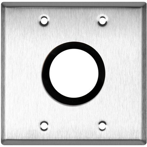 TecNec 2-Gang Clear Anodized Wall Plate with 1- 1-5/8" Grommet