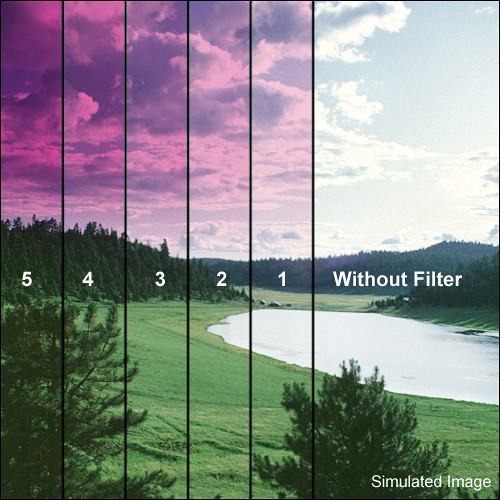 Tiffen 5.65 x 5.65" 2 Magenta Soft-Edge Graduated Filter