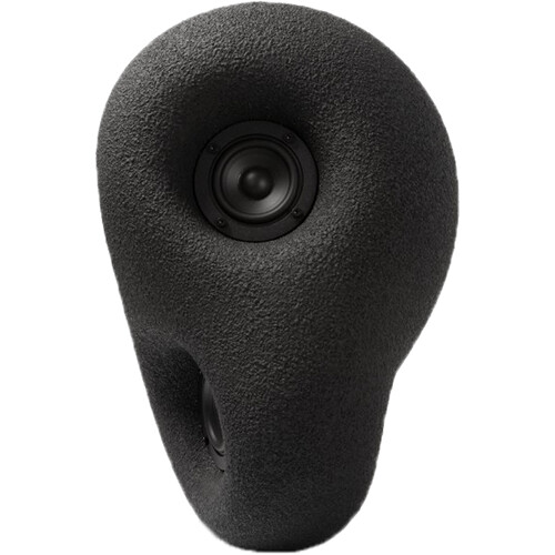 Transparent Acoustic Sculpture Active Wireless Speaker (Black)