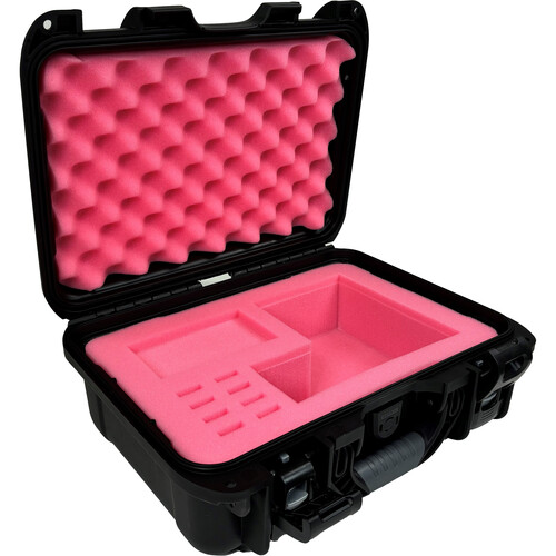 sandisk case