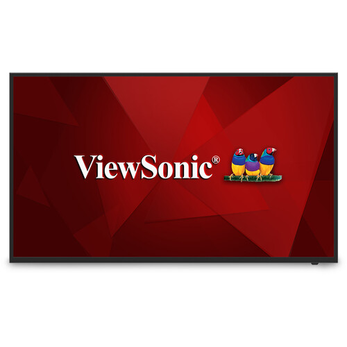 ViewSonic CDE5512 54.6" 4K Wireless Presentation Display