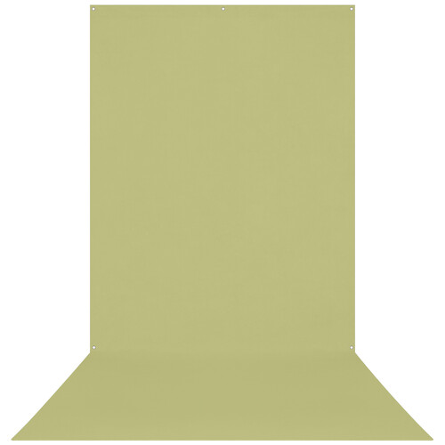 Westcott X-Drop Wrinkle-Resistant Backdrop (Light Moss Green, 5 x 12')