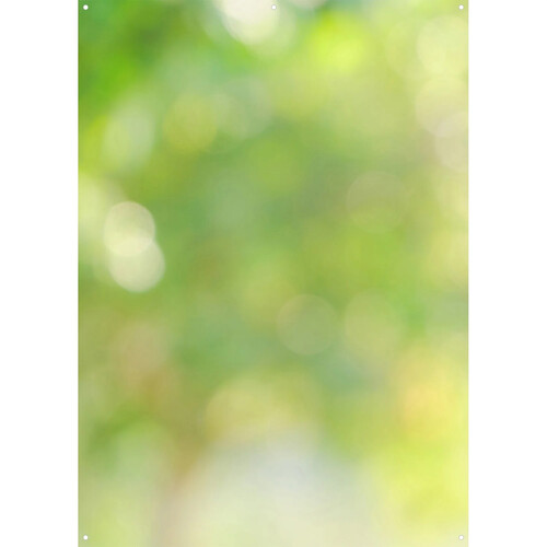 Westcott X-Drop Vinyl Backdrop (Forest Bokeh, 5 x 7')
