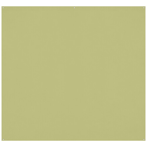 Westcott X-Drop Pro Wrinkle-Resistant Backdrop (Light Moss Green, 8 x 8')