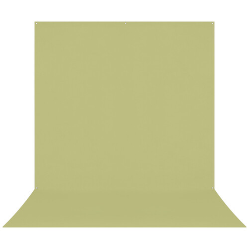 Westcott X-Drop Pro Wrinkle-Resistant Backdrop (Light Green Moss, 8 x 13')