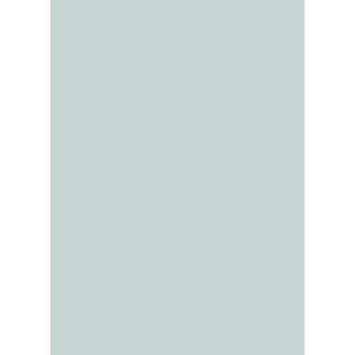 Westcott Solid Color Art Canvas Backdrop with Grommets (5 x 7', Light Turquoise)