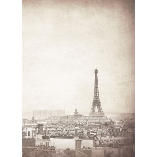 Westcott Parisian Skyline Art Canvas Backdrop with Grommets (5 x 7', Gray)