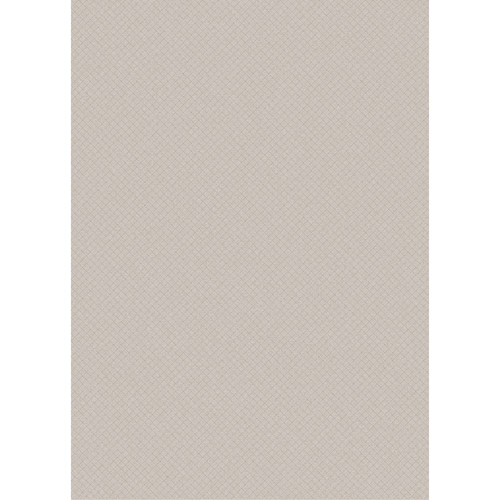 Westcott Subtle Hatched Art Canvas Backdrop with Grommets (5 x 7', Brown)