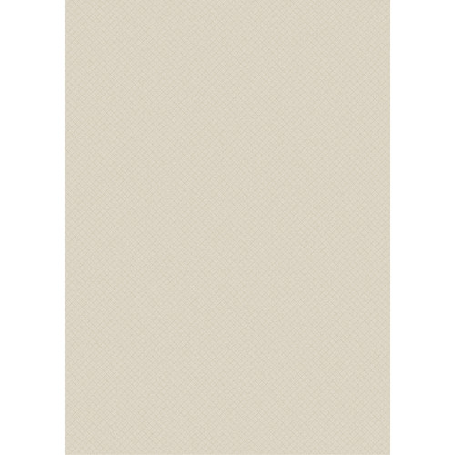 Westcott Subtle Hatched Art Canvas Backdrop with Grommets (5 x 7', Tan)