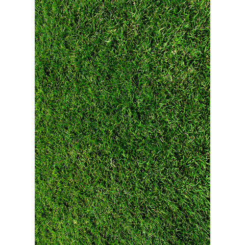 Westcott Green Grass Art Canvas Backdrop with Grommets (5 x 7', Multi-Color)
