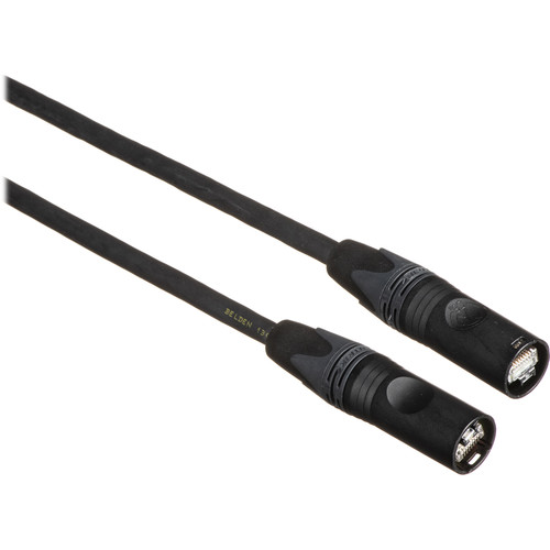 Whirlwind EtherCON to EtherCON Cat 6a Shielded Ethernet Cable (100')