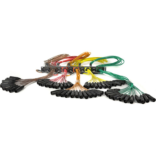 Whirlwind Patchmaster60RC W1 Multipin Female to XLR Male Patch Panel (3' Tails, 1 RU)
