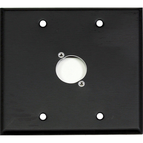 Whirlwind WP2B/1NDH 2-Gang Wall Plate Punched for 1 Neutrik XLR Terminal (Black Finish)