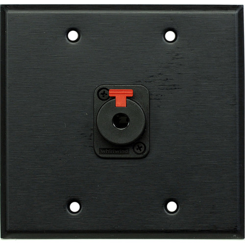 Whirlwind WP2B/1QW 2-Gang Wall Plate with 1 Whirlwind WCQF 1/4" Terminal (Black Finish)