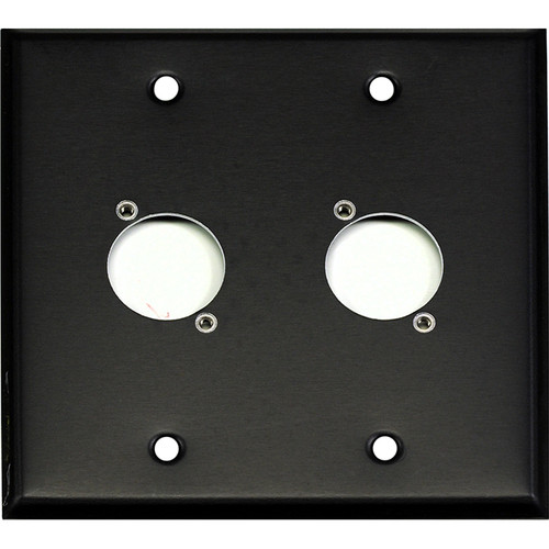 Whirlwind WP2B/2H 2-Gang Wall Plate Punched for 2 Whirlwind/Switchcraft D3F Terminals (Black Finish)
