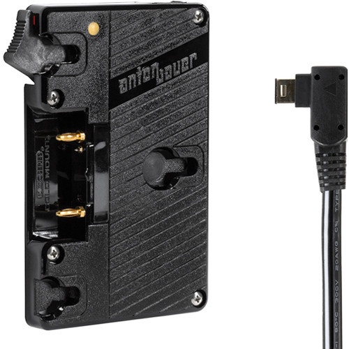 Wooden Camera Gold Mount Plate for Sony FS700