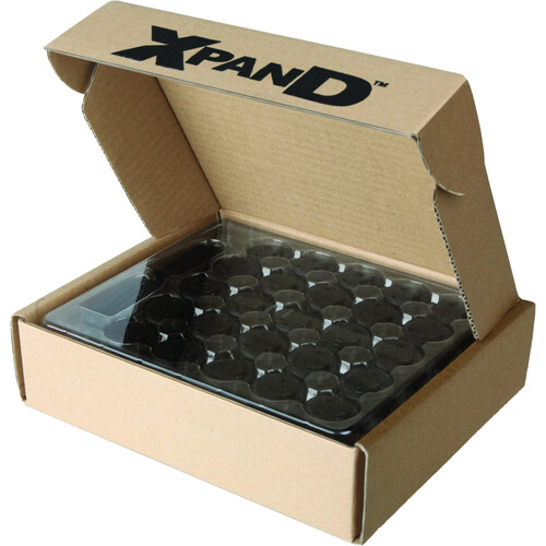 XPANDVISION X101 Batteries for X101 Glasses (100-Piece Box)