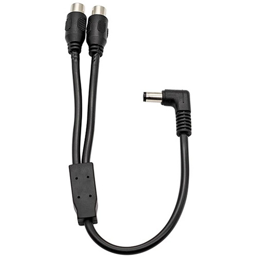 ZWO 2.1mm Male to Dual RCA Female DC Y-Splitter Cable