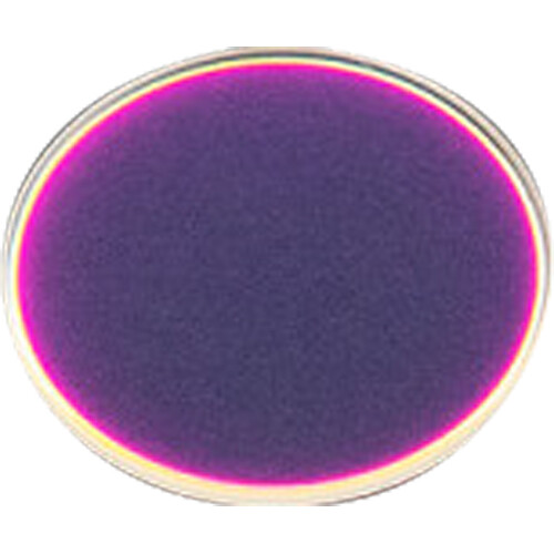 ZWO D21 IR-Cut Protect Window