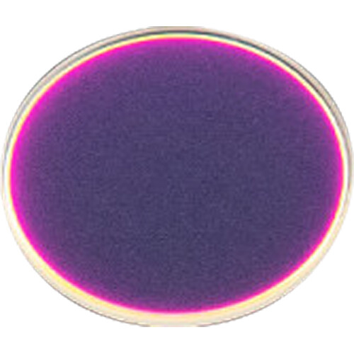 ZWO D25 IR-Cut Protect Window