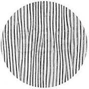Rosco Image Effects Black and White Glass Gobo - #33607 - Irrregular Strands (86mm = 3.4")