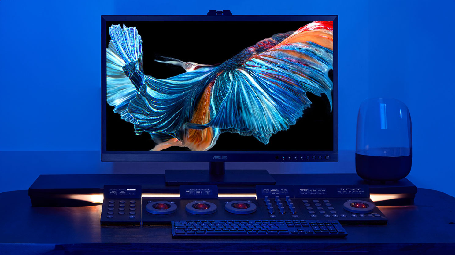 31.5” ASUS ProArt Display OLED PA32DC 31.5” ASUS ProArt Display OLED PA32DC