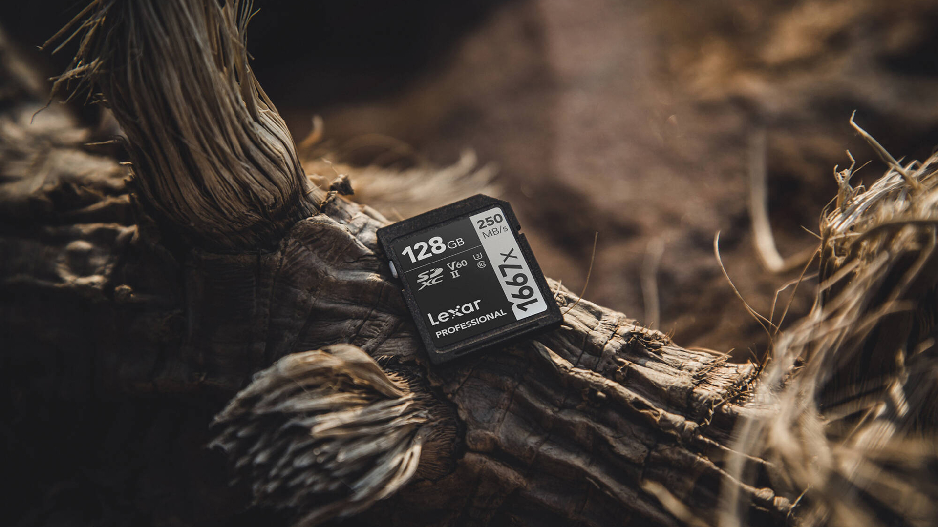 Lexar 128GB Professional 1667x UHS-II SDXC Memory Card Lexar 128GB Professional 1667x UHS-II SDXC Memory Card