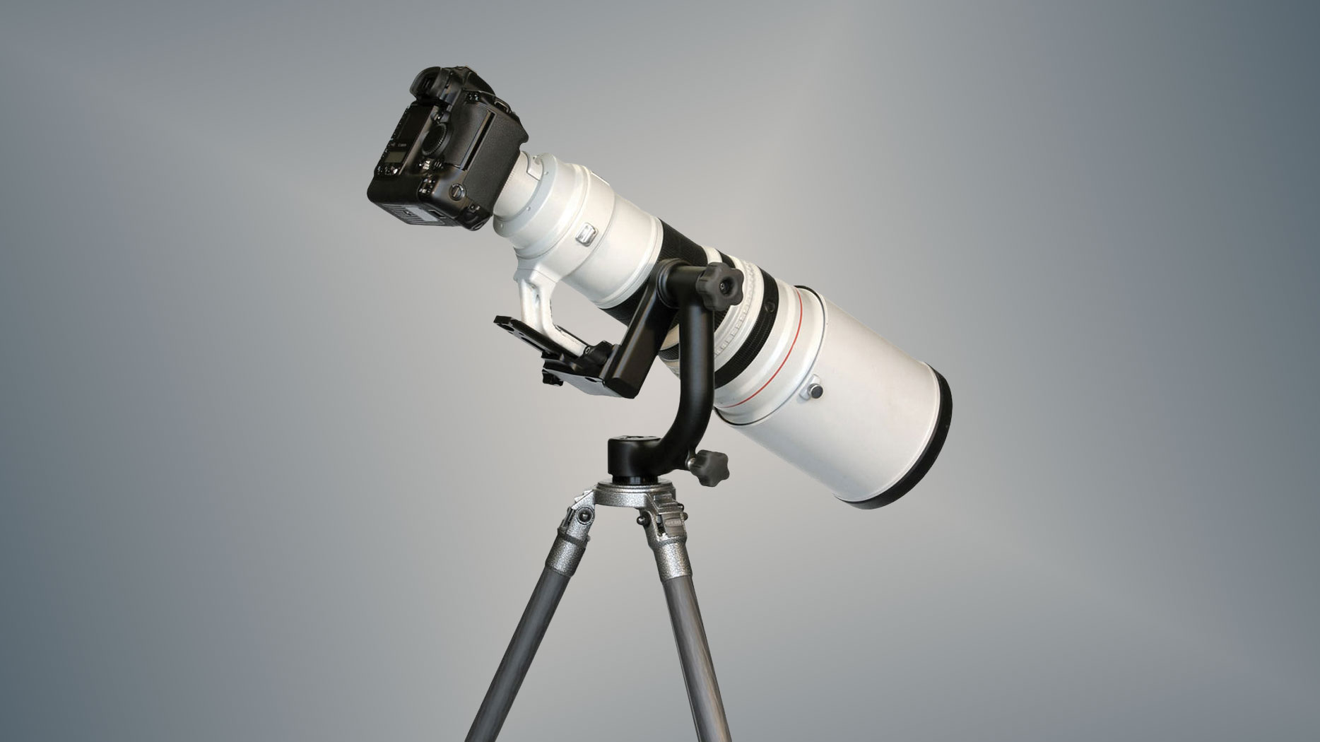 Wimberley WH-200 Gimbal Tripod Head II with Quick Release Plate