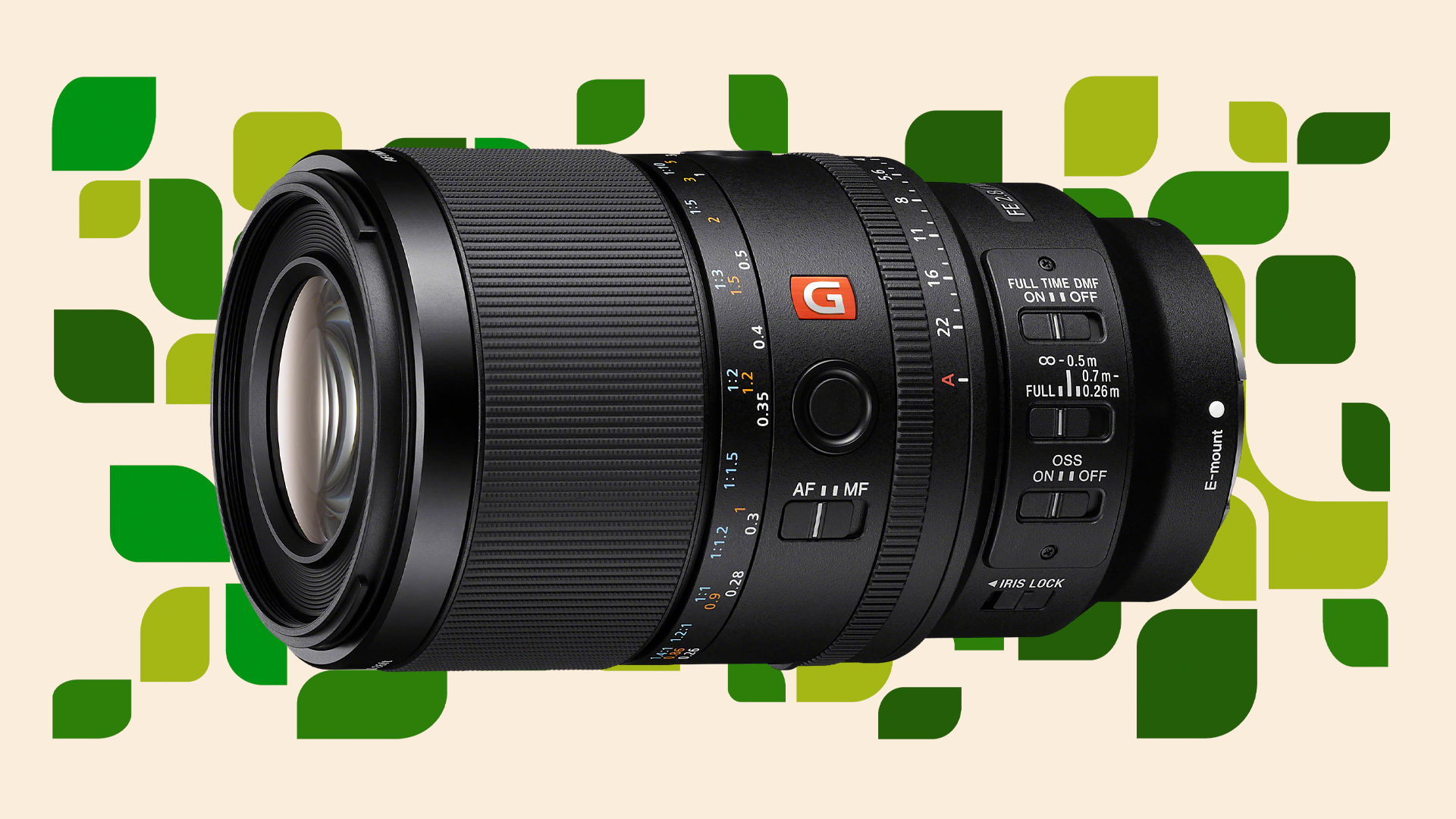 Sony FE 100mm f/2.8 Macro GM Lens