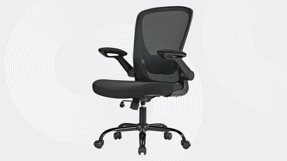 Eureka Onyx Series Ergonomic Office Chair