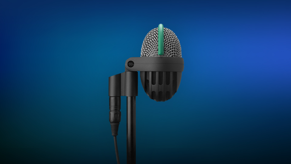 AKG D112 MKII Pro Dynamic Bass Microphone