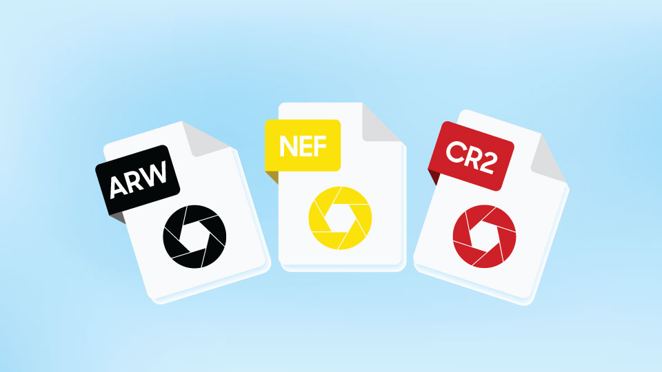 Each brand has their own RAW format architecture, with Nikon’s being NEF, Canon’s CR2 or CR3, and Sony’s being ARW to name a few