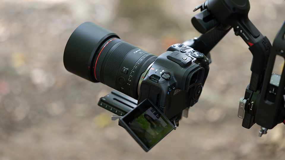 Canon RF 85mm f/1.4 L VCM Lens Canon RF 85mm f/1.4 L VCM Lens