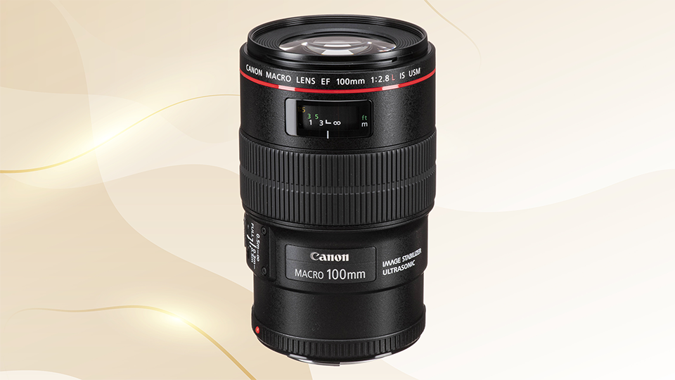 Canon EF 100mm f/2.8L Macro IS USM Lens