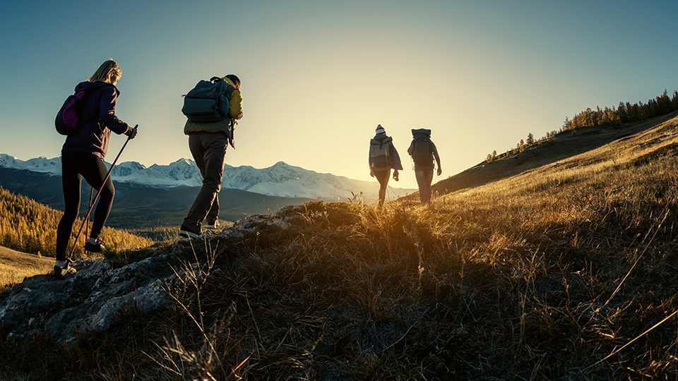 Group of hikers walks in mountains at sunset