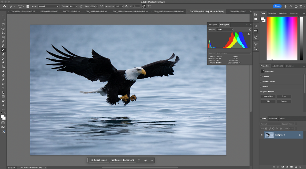 The histogram appears frequently in editing software as seen above. This serves as the base for levels adjustments, where we can fine tune our exposure using the histogram as a visual aid.