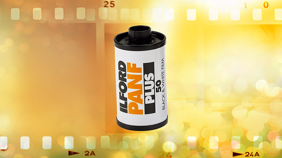 Ilford Pan F Plus Black and White Negative Film Ilford Pan F Plus Black and White Negative Film