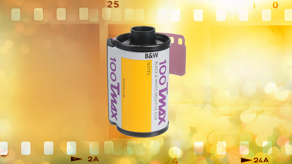 Kodak Professional T-Max 100 Black and White Negative Film Kodak Professional T-Max 100 Black and White Negative Film