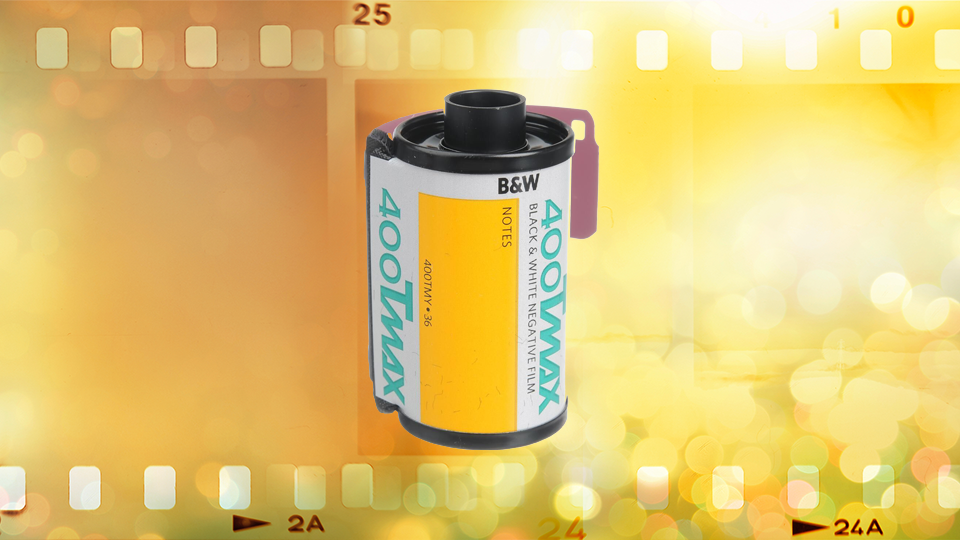 Kodak Professional T-Max 400 Black and White Negative Film Kodak Professional T-Max 400 Black and White Negative Film