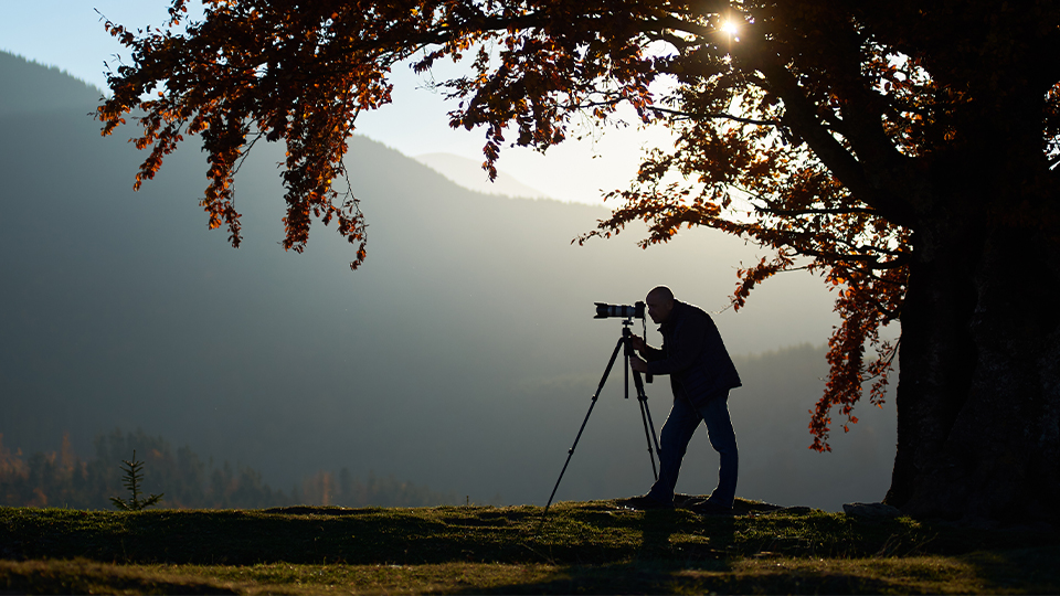 Man with tripod under tree