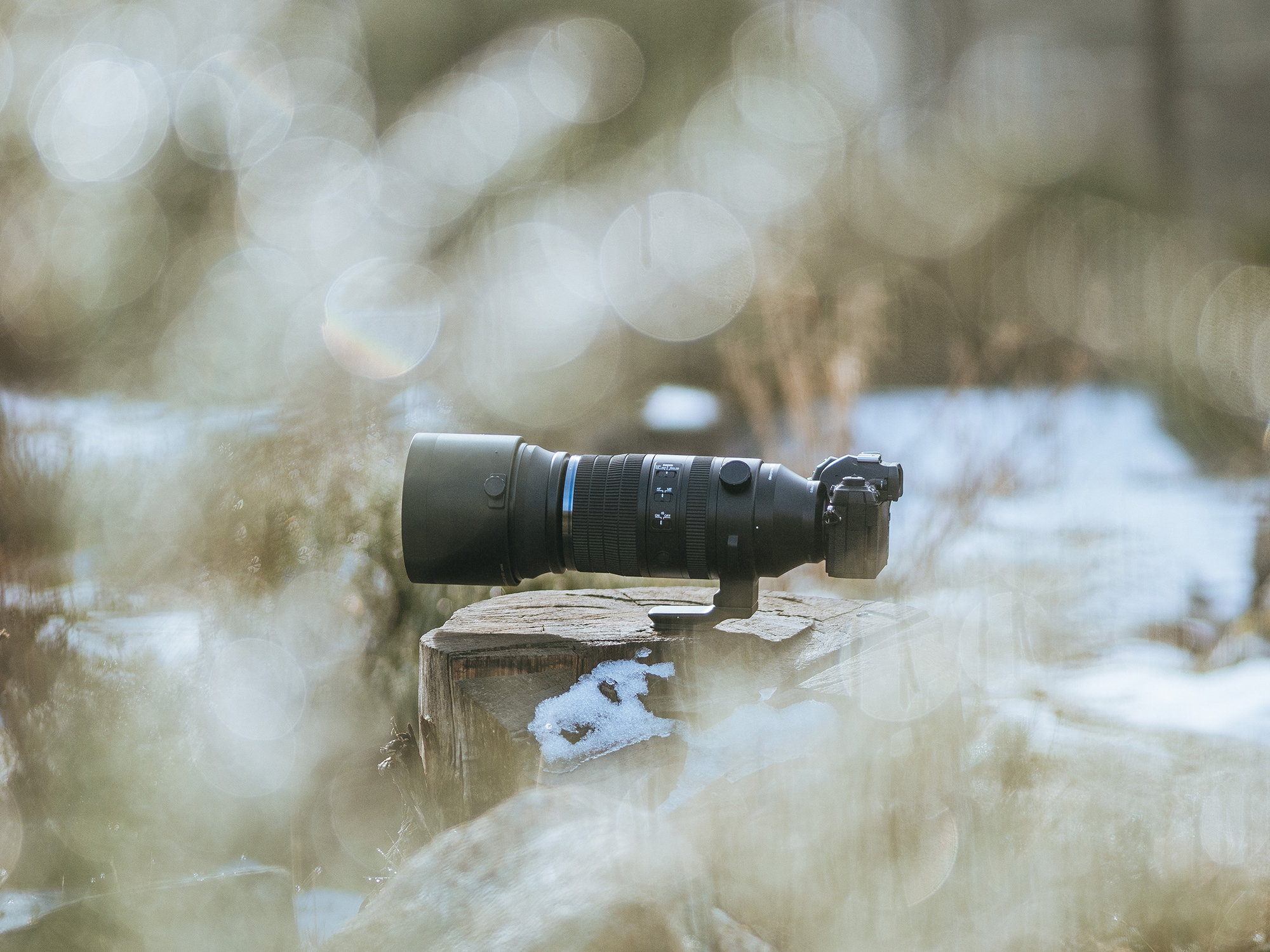 OM SYSTEM M.Zuiko Digital ED 150-600mm f/5-6.3 IS on OM-1 MII