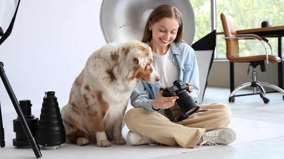 Pet Photography Guide Shutter