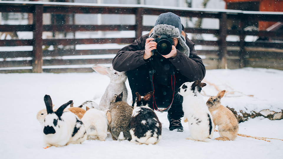 Pet Photography Guide White Balance Pet Photography Guide White Balance
