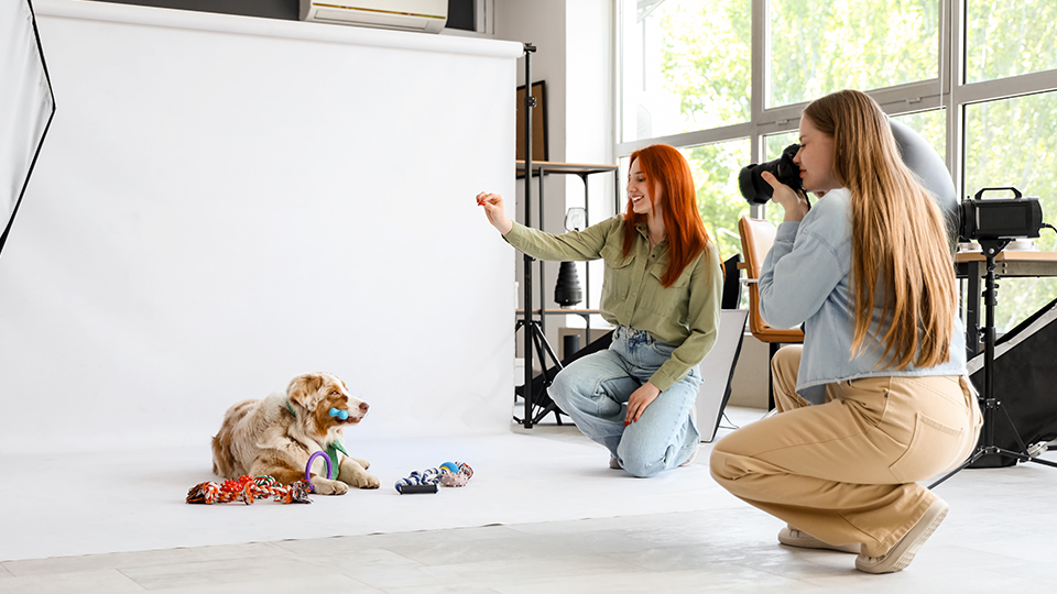 Pet Photography Guide Pet Photography Guide