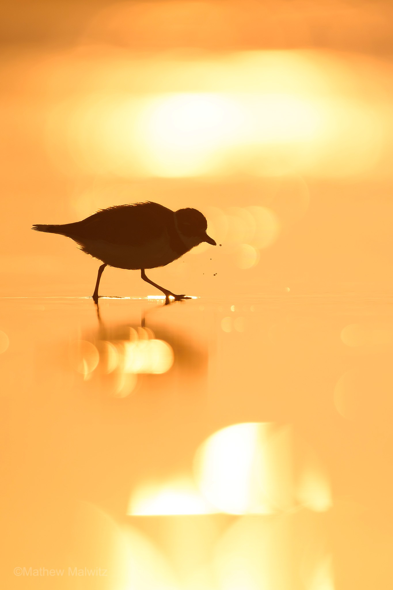 Lighting can be captured in variety of ways
