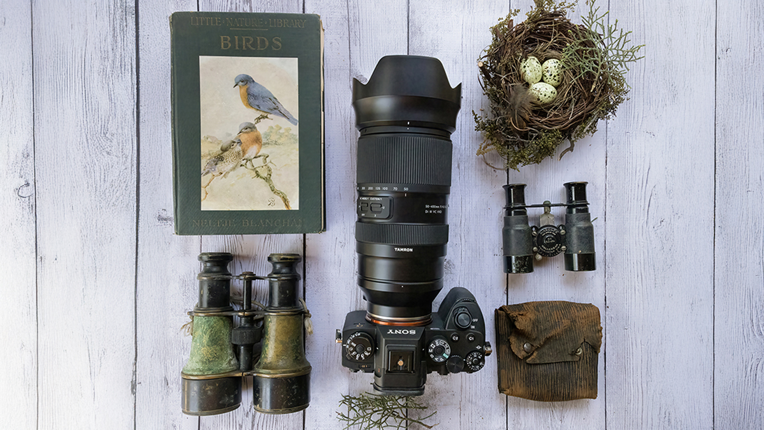 The Tamron 50-400mm Lens is the perfect walk-around birding lens The Tamron 50-400mm Lens is the perfect walk-around birding lens