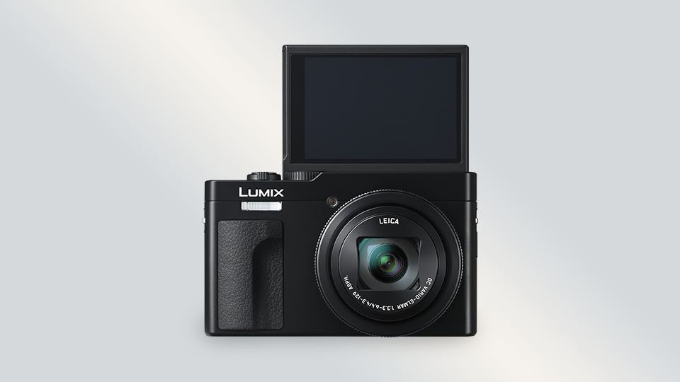 Panasonic ZS99 Digital Camera