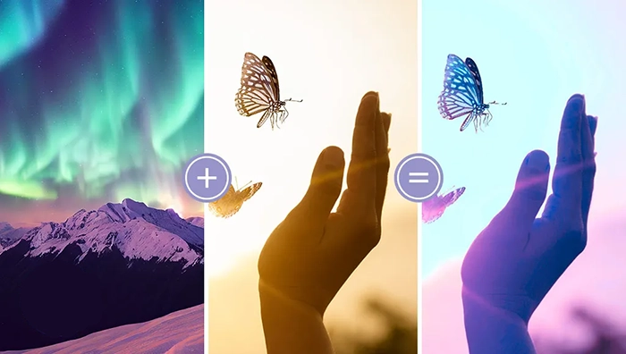 Adobe Adds AI to Premiere Elements 2025 and Updates Acrobat