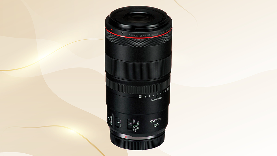 Canon RF 100mm f/2.8 L Macro IS USM Lens